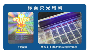 化学快猫成人短视频